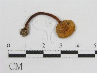 登錄號:F0010724藏品圖，第3張