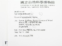 登錄號:F0010726藏品圖，第2張