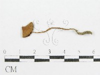 登錄號:F0010726藏品圖，第1張