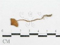 登錄號:F0010726藏品圖，第3張