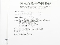 登錄號:F0010727藏品圖，第2張