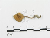 登錄號:F0010727藏品圖，第1張