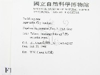 登錄號:F0010729藏品圖，第2張