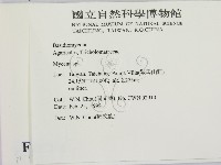 小菇屬藏品圖，第2張