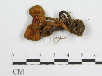 登錄號:F0010739藏品圖，第3張