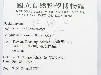 登錄號:F0010740藏品圖，第2張