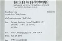登錄號:F0010740藏品圖，第5張