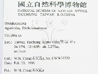 登錄號:F0010741藏品圖，第2張