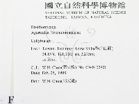 登錄號:F0010742藏品圖，第2張