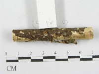 登錄號:F0010743藏品圖，第3張