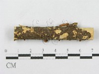 登錄號:F0010743藏品圖，第4張