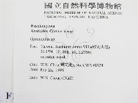 登錄號:F0010745藏品圖，第2張