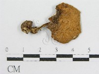 登錄號:F0010745藏品圖，第3張