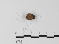 登錄號:F0010752藏品圖，第3張