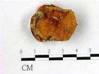 登錄號:F0010753藏品圖，第1張