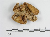 登錄號:F0010754藏品圖，第1張