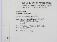 登錄號:F0010755藏品圖，第2張