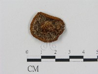 登錄號:F0010755藏品圖，第1張