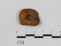 登錄號:F0010755藏品圖，第3張