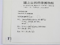 登錄號:F0010756藏品圖，第2張