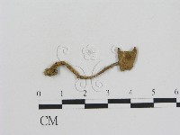 登錄號:F0010756藏品圖，第1張