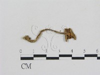 登錄號:F0010756藏品圖，第3張