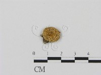 登錄號:F0010760藏品圖，第1張