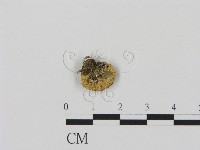 登錄號:F0010760藏品圖，第3張