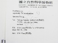 微皮傘屬藏品圖，第2張