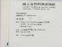 小菇屬藏品圖，第2張