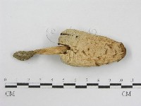 登錄號:F0010767藏品圖，第3張