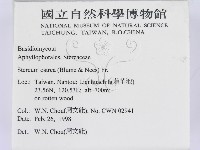 蠔韌革菌藏品圖，第2張