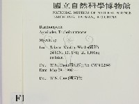 小菇屬藏品圖，第2張