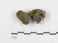 登錄號:F0010771藏品圖，第1張