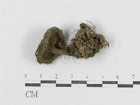 登錄號:F0010771藏品圖，第3張