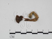 登錄號:F0010772藏品圖，第3張