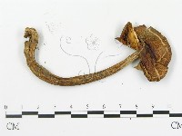 登錄號:F0010773藏品圖，第3張