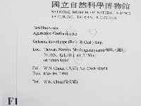 登錄號:F0010774藏品圖，第2張
