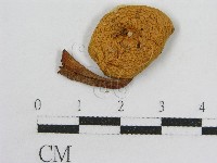 登錄號:F0010774藏品圖，第3張