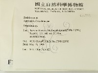 登錄號:F0010775藏品圖，第2張