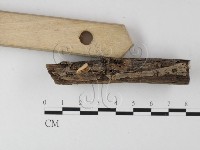 登錄號:F0010775藏品圖，第1張