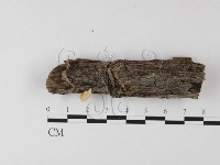 登錄號:F0010775藏品圖，第3張