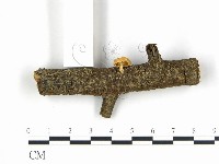 登錄號:F0010777藏品圖，第1張