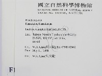 登錄號:F0010778藏品圖，第2張