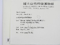 登錄號:F0010779藏品圖，第2張