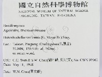 登錄號:F0010780藏品圖，第2張