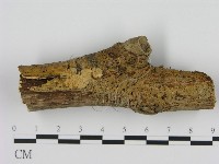 登錄號:F0010780藏品圖，第1張