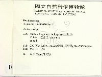 登錄號:F0010784藏品圖，第2張