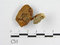 登錄號:F0010785藏品圖，第4張