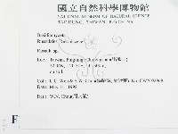 紅菇屬藏品圖，第2張